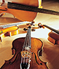 photo of string instruments